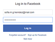 Log into Facebook example page